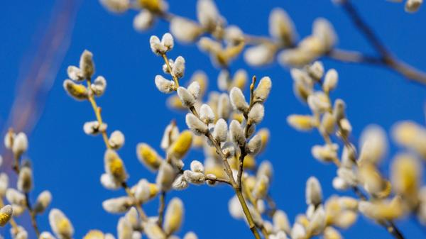 imago images 157028326