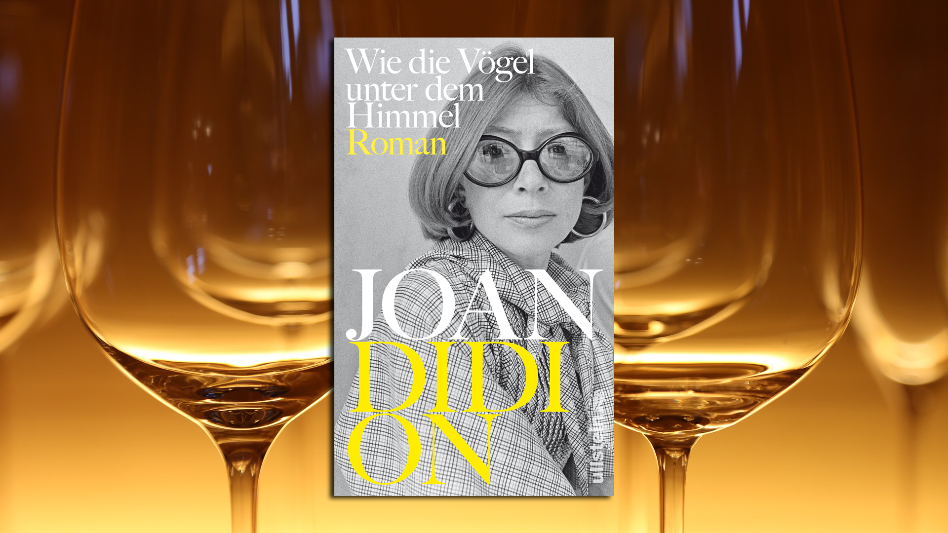 Gut, dass diese Bücher neu übersetzt werden, und dann ja auch noch von Antje Ravic Strubel: die als Autorin ganz genau um die Besonderheiten ihrer US-Kollegin Joan Didion weiß. In deren Roman "Wie die Vögel unter dem Himmel" geht es um zwei Amerikanerinnen in einem Latino-Schurkenstaat am Äquator und ihr konträres Schicksal. Die eine heiratet sich in die Macht-Elite ein, die andere sucht ihre Tochter, die als Terroristin vermisst wird, und will karitativ helfen: Beide werden elend scheitern. Eine heiß flirrende Annäherung in eisgekühlten Dialogen, Gesellschaftssatire und tristes Requiem: Didion war schon einzigartig. (Ullstein, 23,99 Euro) Wolf Ebersberger