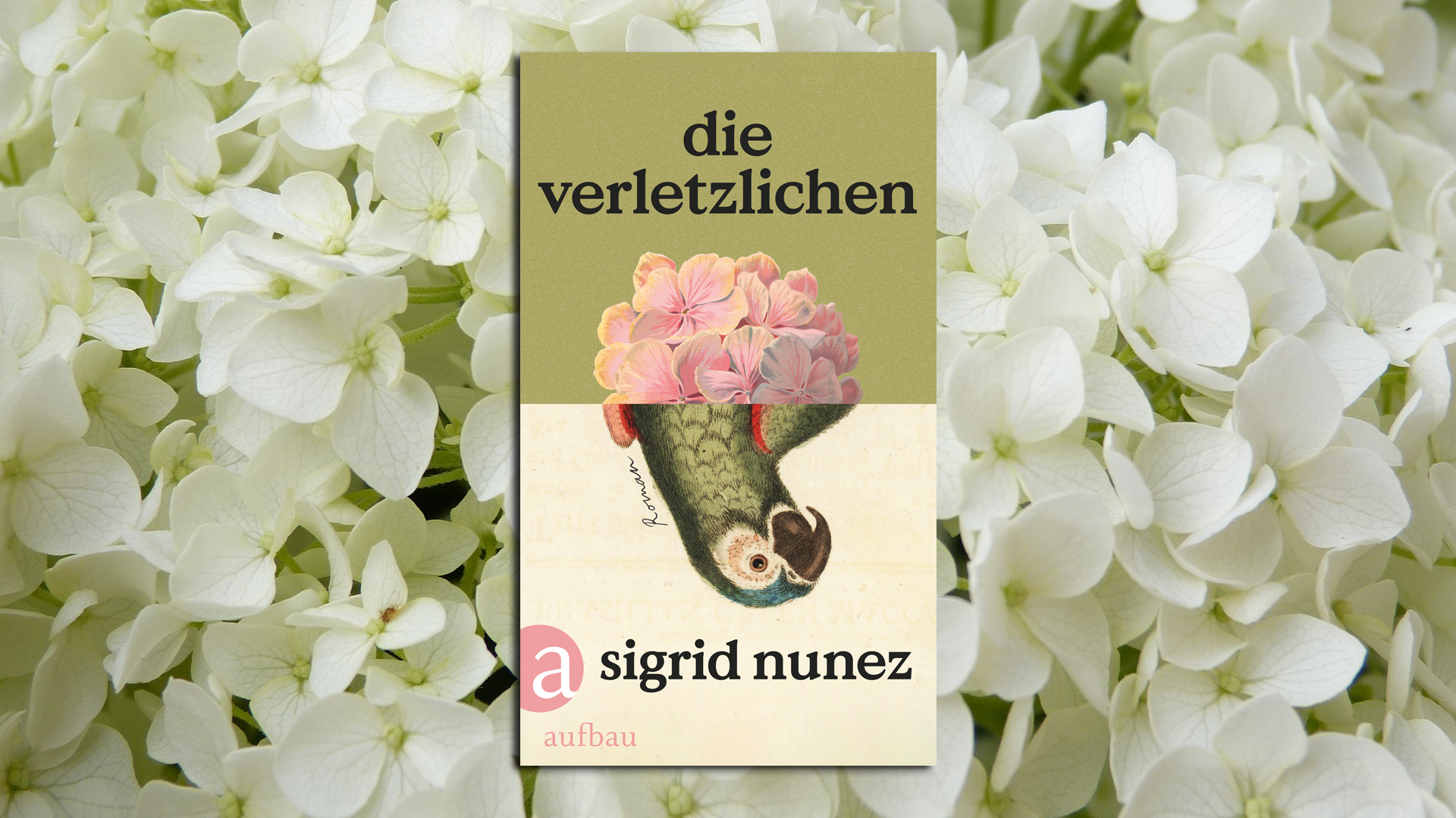 Ja, jetzt hat auch der "Spiegel" die amerikanische Autorin Sigrid Nunez entdeckt... und sicher, sie schreibt wieder über Tiere, wie schon in ihrem Erfolgsroman "Der Freund". Der kleine grüne Ara, um den sich die Erzählerin im neuen Werk "Die Verletzlichen" kümmern muss, weil die Besitzerin wegen Corona in Kalifornien feststeckt, ist aber nur ein Teil der Handlung, sozusagen der Auslöser. In der fremden New Yorker Wohnung wartet ja noch ein verhaltensauffälliger, aber nicht uninteressanter junger Mann, der mit allem hadert... Wie geht sie, als viel ältere Frau und Autorin damit um? Wie mit der Krise der Pandemie, im Leben wie im Schreiben? Nunez plaudert, zitiert Vorbilder, stellt sanft, aber nachhaltig existenzielle Fragen: Man folgt ihr so amüsiert wie gerührt. (Aufbau, 22 Euro) Wolf Ebersberger