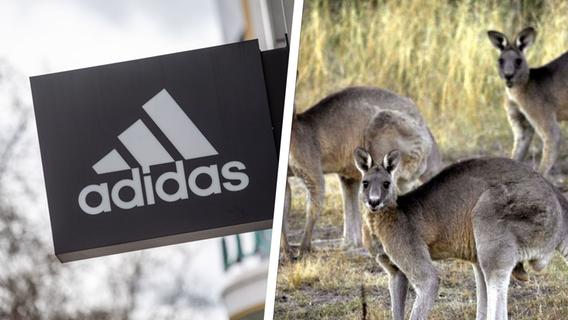 Känguru-Mord für Sportschuhe? Adidas im Visier der Tierschützer - Demo in Herzogenaurach