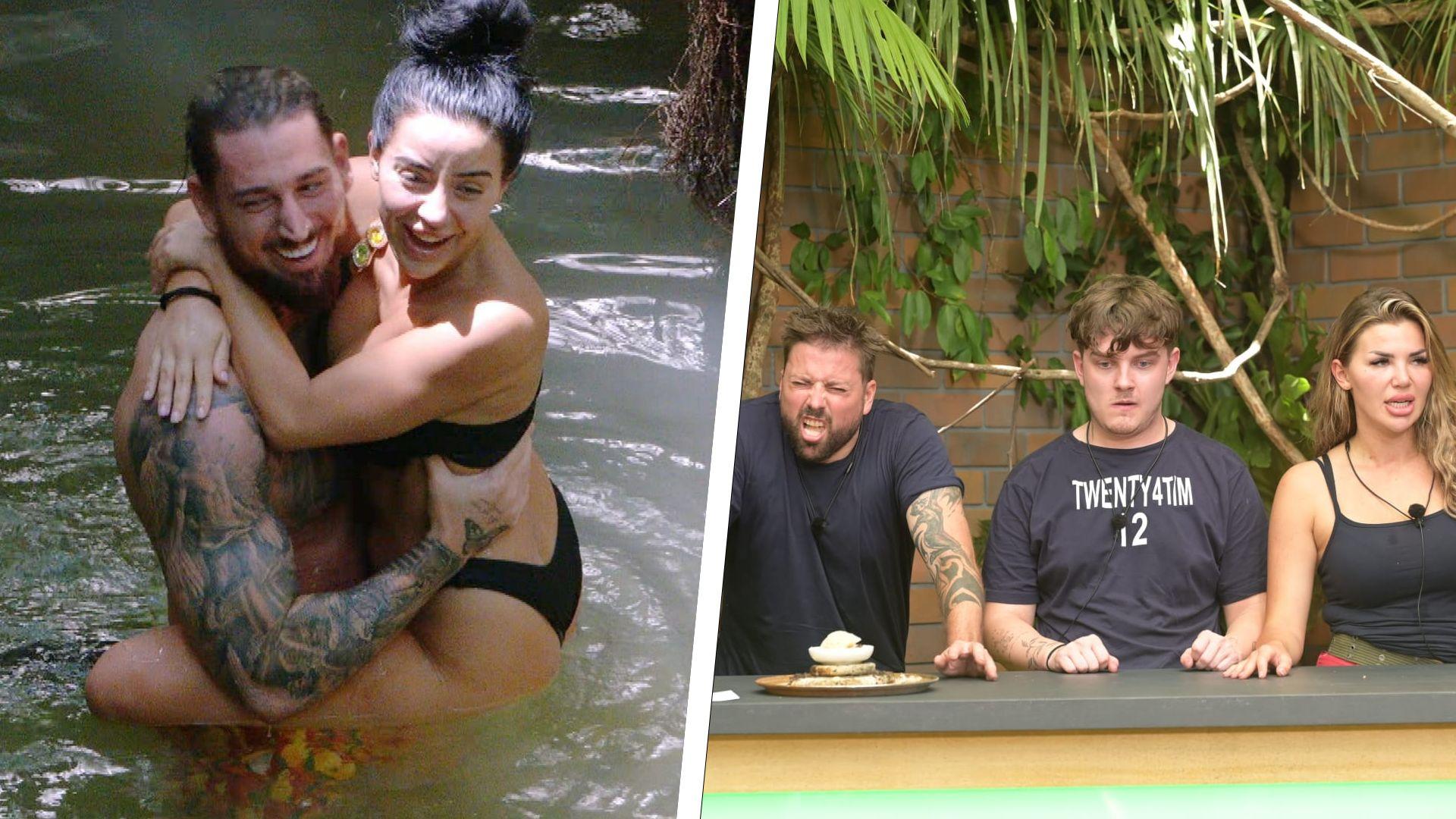 Reality-Sternchen Leyla und Mike auf Schmusekurs und waschechte Delikatessen: Tag sieben im Dschungel bietet volles Programm. Reality-Sternchen Leyla und Mike auf Schmusekurs und waschechte Delikatessen: Tag sieben im Dschungel bietet volles Programm.