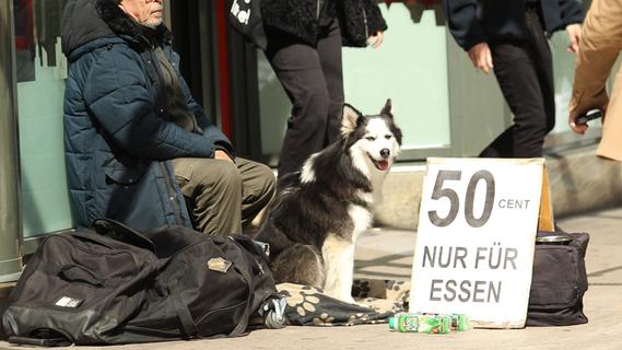 "Prostitution der Tiere?" Tierschützer verurteilen in Nürnberg Bettler mit kleinen Hunden