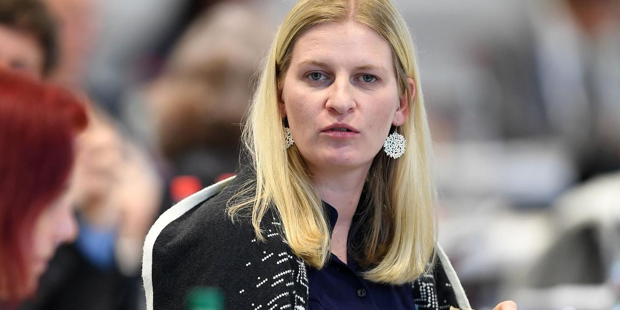 Thüringer Grüne: AfD-Verbotsverfahren vorbereiten