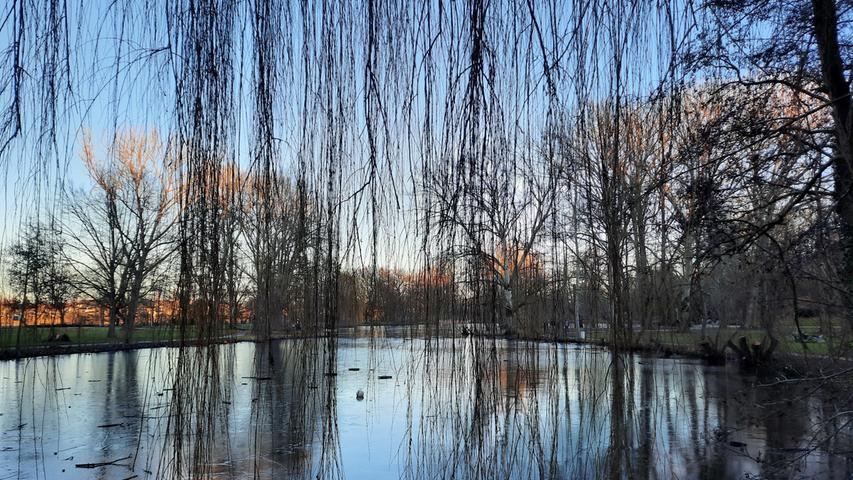 Im Stadtpark Fürth freut sich unsere Leserfotografin an den goldschimmernden Baumkronen, deren Anblick die Freude auf den Frühling steigen lässt. Mehr Leserfotos finden Sie hier