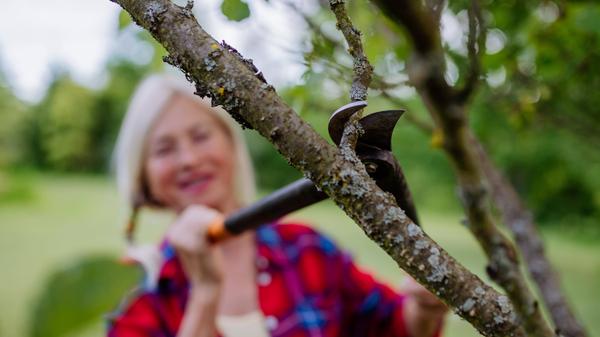 imago images 0389419446