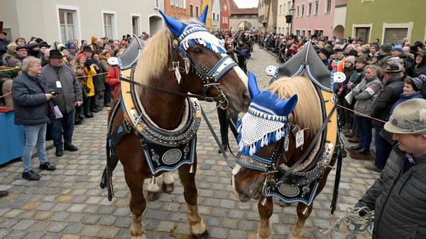 Berchinger Rossmarkt.