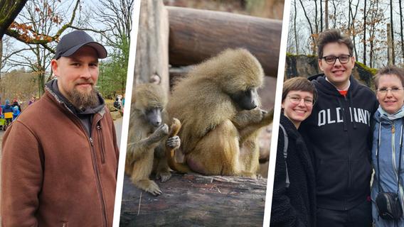 "Entscheidung mit Sorgfalt getroffen": Das sagen Besucher im Tiergarten Nürnberg zur Pavian-Tötung