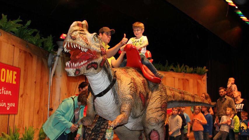 Auch in Feucht steigt am Sonntag eine Dino Show. Von 11 bis 15.30 Uhr werden in der Reichswaldhalle die Tiere der Urzeit wieder lebendig. Dinobabys schlüpfen live auf der Bühne und man kann Dinos füttern und streicheln. 