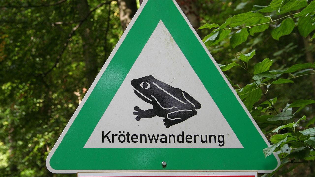 Solche Warnschilder machen auf die Gefahr der Krötenwanderung aufmerksam.