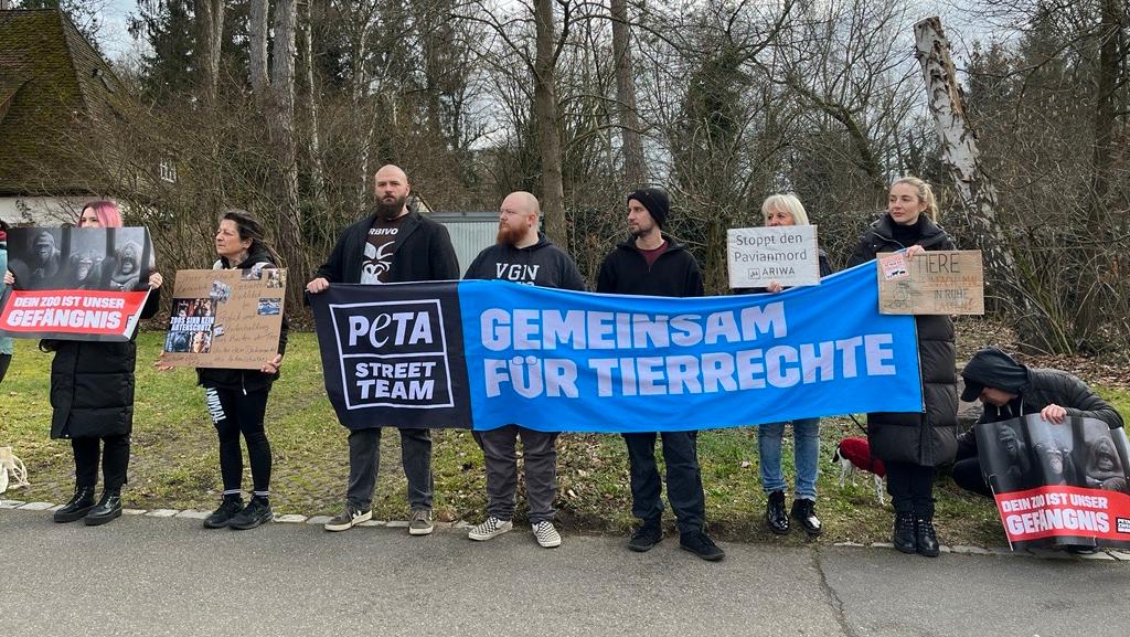 Tierschützer von Peta und ARIWA demonstrierten am Samstag vor dem Nürnberger Tiergarten gegen die Pläne zur Tötung der Paviane.