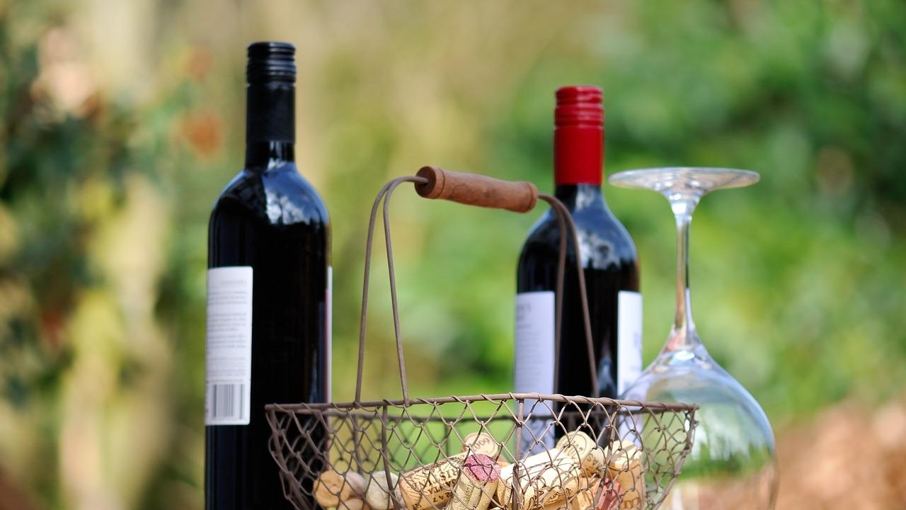 Der Feinschmecker-Weinguide 2024 hat auch zahlreiche Weingüter aus Franken mit "Sehr gut" bewertet.
