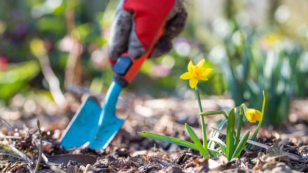 Gartenarbeit im Frühling