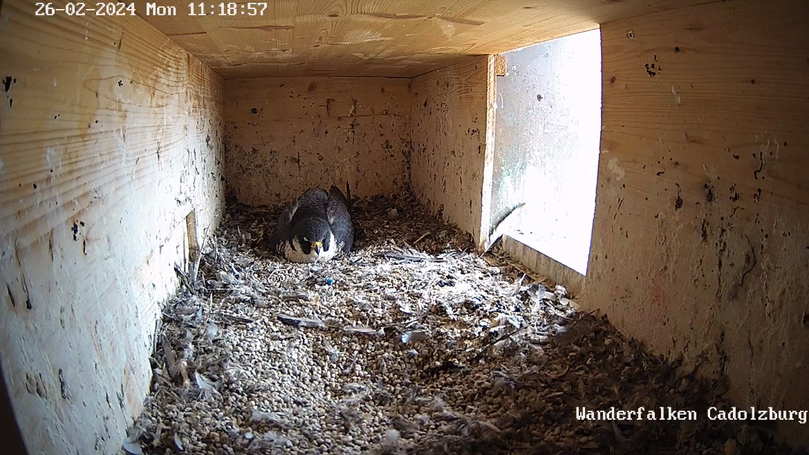 MicrosoftTeams-image (46).png