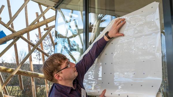 ROT-LBV-Infoveranstaltung-Vogelschlag