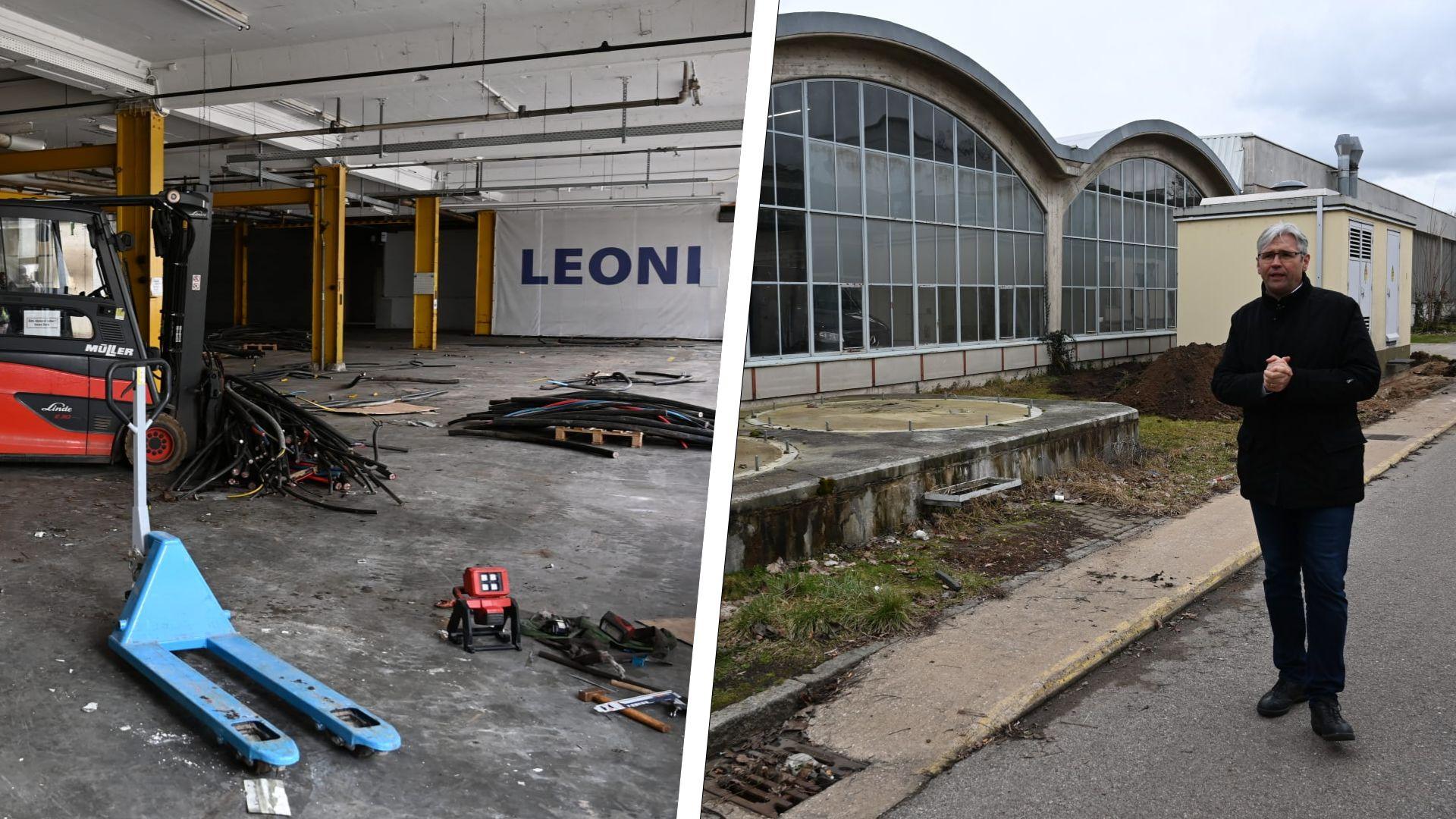 2024-1-3_collage (1).jpg