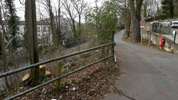 Bergkirchweih-Gelände in Erlangen: Für breiteren Rettungsweg Bäume gefällt