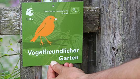 Vogelfreundlicher Garten: So kommt man in Nürnberg und der Region an die begehrte Plakette