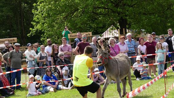 Teilnehmer gesucht: Neumarkter Eselrennen findet wieder statt