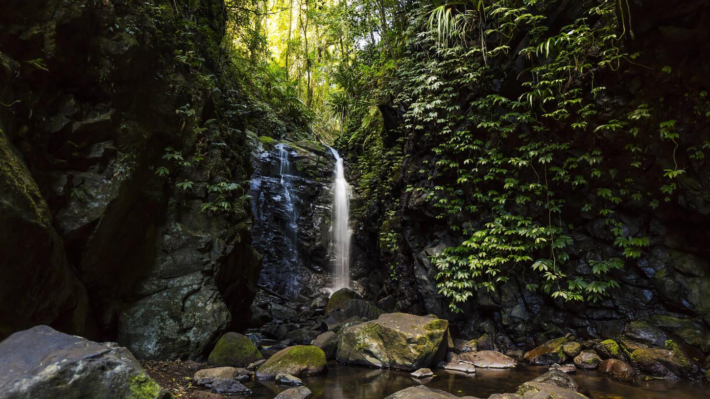 Ein Wasserfall im Lamington National Park in Queensland (Australien).