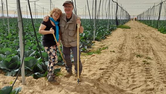 "Wir sind da völlig furchtlos": Ehepaar aus Wassermungenau reist als Erntehelfer nach Israel