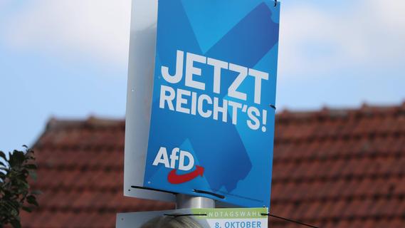"Erinnert an Beflaggung in totalitären Staaten": So will Kammerstein der AfD-Plakatflut Herr werden