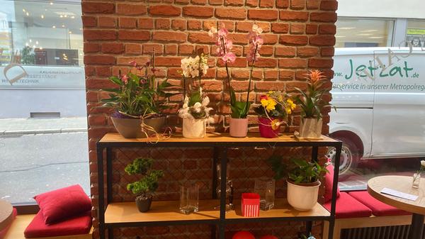 Das Regal könnte fast ein altes Kellerregal sein, Orchideen und weitere Pflanzen brechen den Industrial-Stil wieder auf.