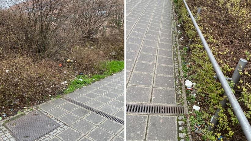 Dieses Foto von vermeintlichem Mikro-Müll veröffentlichte Nürnbergs Bürgermeister Christian Vogel auf Instagram. 
