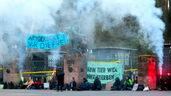 Großeinsatz vor Nürnberger Tiergarten: Aktivisten ketten sich vor Haupteingang fest