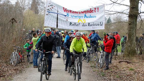 22 Hektar Reichswald bei Nürnberg sollen fallen: Jetzt gehen die Bürger auf die Barrikaden