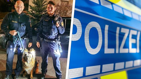 Helfer in Uniform: Zirndorfer Polizisten kümmern sich um ausgebüxte Schäferhündin