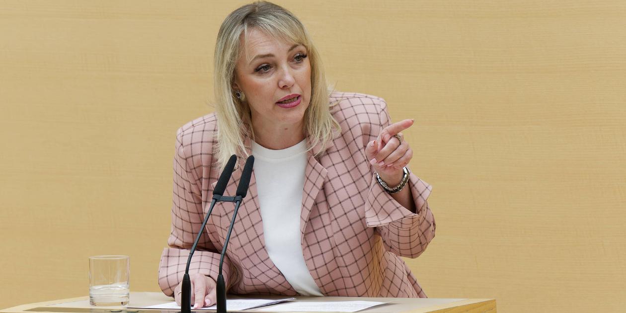 Wegen Russland-Reise: Nürnberger AfD-Abgeordnete Elena Roon erntet ...