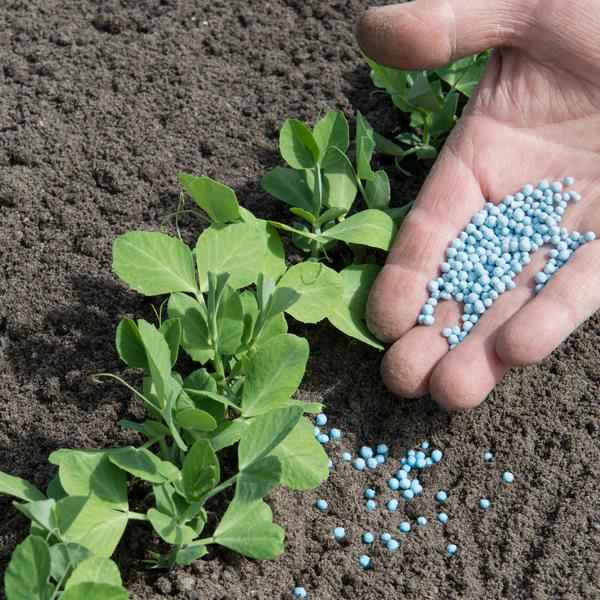 weitere, interessante Themen: