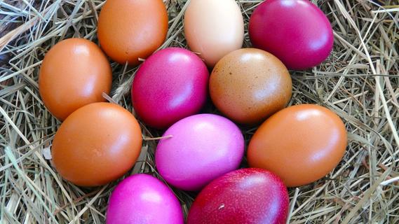 Tipps für ein nachhaltiges Fest: Welche Ostereier sind bio und wie färbt man sie umweltfreundlich?