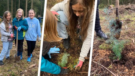 "Wir taufen den Baum Hannah": Schulkinder pflanzen 300 Bäumchen im Grafenbucher Forst