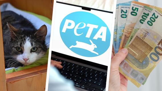 Wer hat die Katzen vor dem Rother Tierheim ausgesetzt? Peta bietet 500 Euro Belohnung für Hinweise