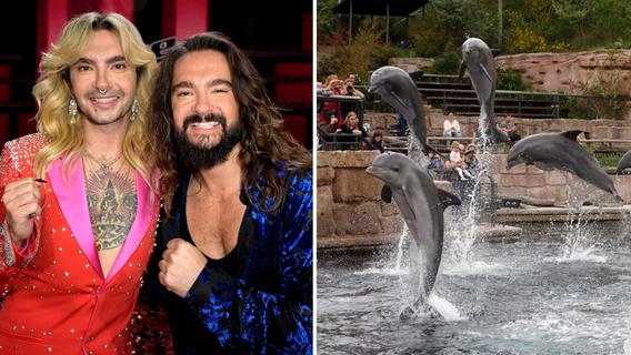 Kaulitz-Brüder vs. Tiergarten Nürnberg: Das halten die "Tokio-Hotel"-Zwillinge vom Delfinarium