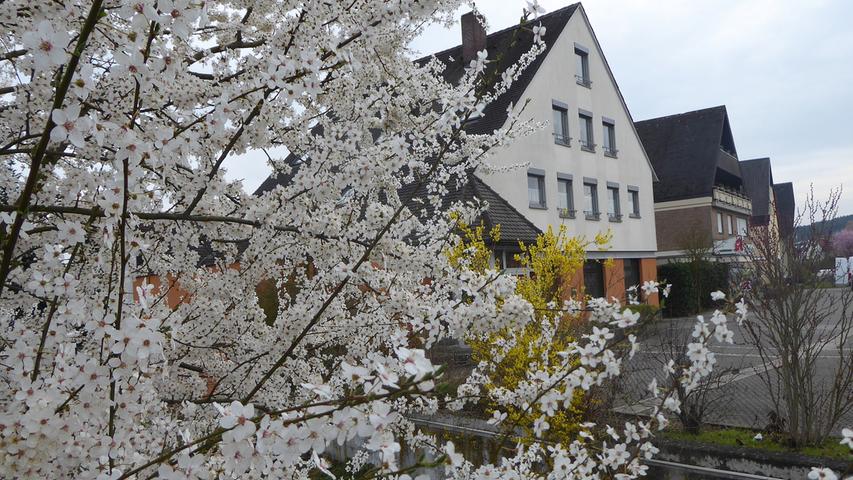 Auch in Forchheim kommt der Frühling so langsam an.