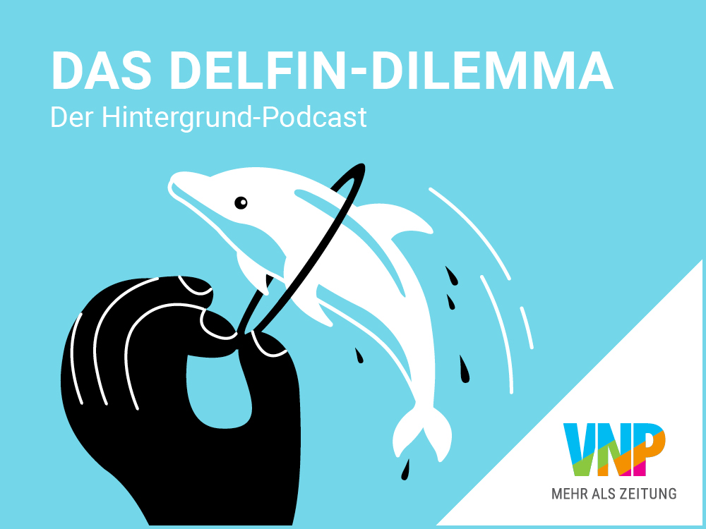 4_3_Delfin_Dilemma_Logo.png
