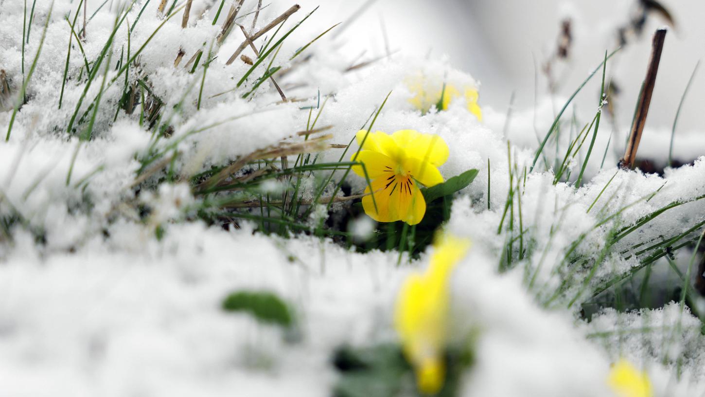 Viele freuen sich derzeit über die frühlingshaften Temperaturen in der Region - zum Wochenende hin könnte sich das aber ändern. 