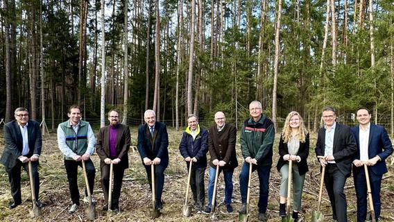 Hier sollen rund um Erlangen "Klimawälder" den Wald hitzeresistent machen