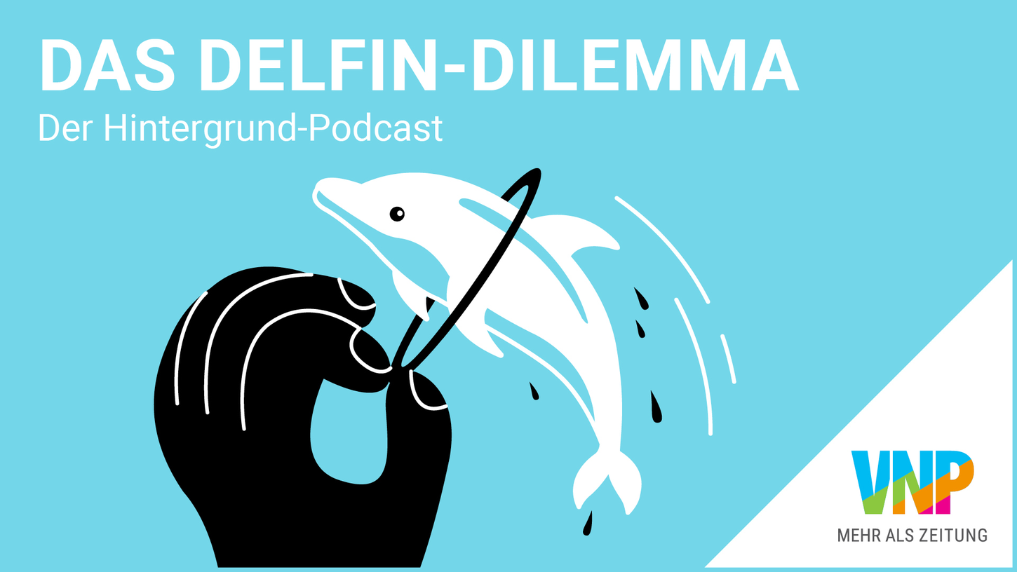 Das Delfin Dilemma, ein Storytelling-Podcast des Verlag Nürnberger Presse.
