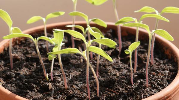 imago images 0384887949