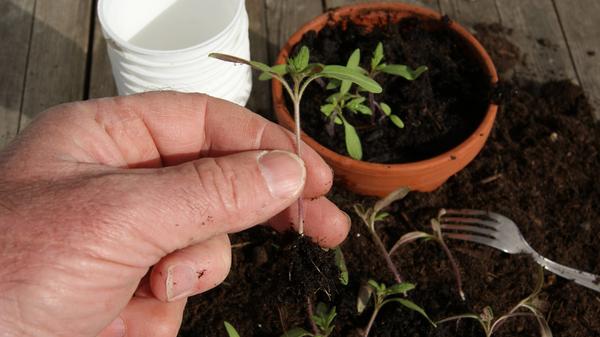 imago images 0384888593