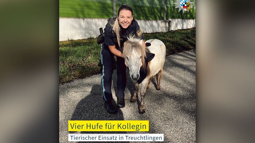 Tierischer Ausreißer auf B2 in Franken: Polizei fängt frei laufendes Pony ein