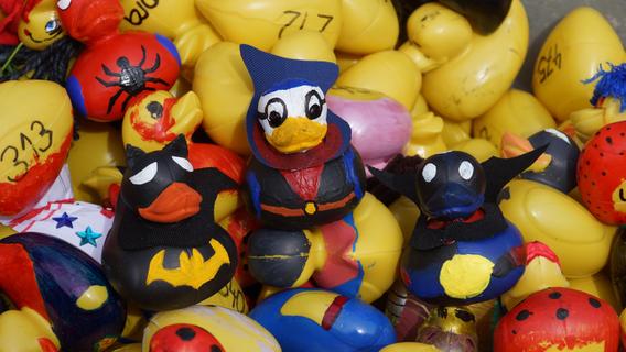 Gelbe Plastikschwimmer im Disney-Look: Das Entenrennen Etzelwang startet zum 20. Mal