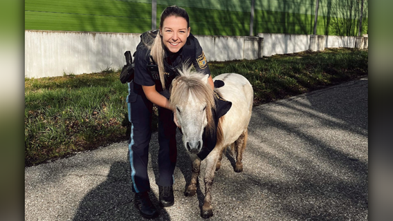 Polizei Treuchtlingen hinter vier Hufen her: Pony "Chiara" war nahe der B2 unterwegs
