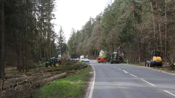 Radweg zwischen Großbellhofen und Schnaittach: Die ersten Bäume fallen 