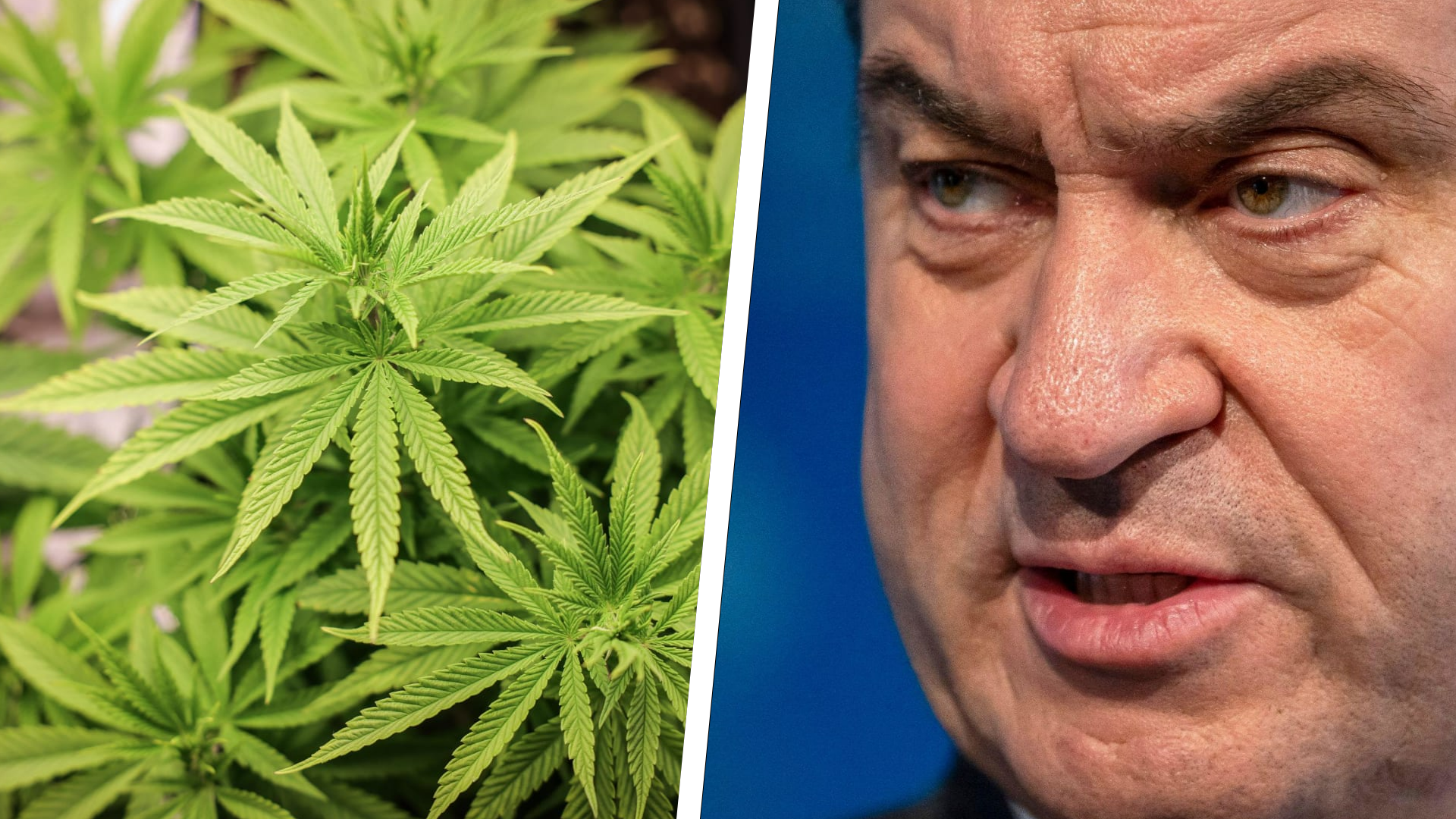 2024-03-28_collage (1).png