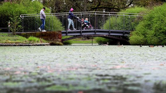 Algenplage: Weiher im Nürnberger Stadtpark leidet schon jetzt unter den milden Temperaturen