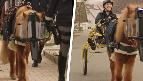 Ponys als neue Mitarbeiter: Polizei Mittelfranken überrascht mit süßem Aprilscherz